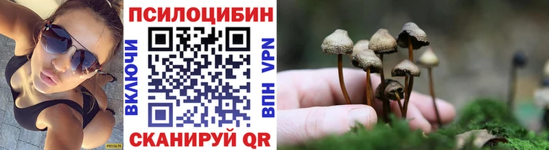 Псилоцибиновые грибы MAGIC MUSHROOMS Суровикино